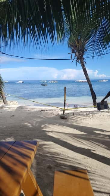 BOHOL: Dolphin Watching, Turtle Swim and Party Boat - Should you book the Tarsier Trails tour?