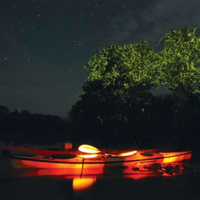 Bohol: Firefly Watching Shared Tour - Leaving Panglao for Loboc