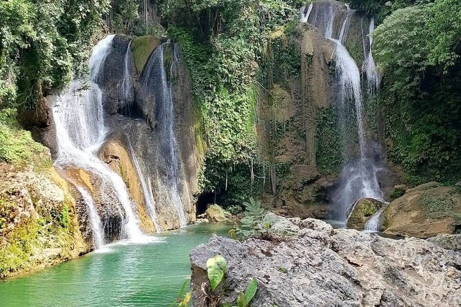 Bohol Full Day Waterfall & Countryside Scooter Tour - Meeting Bohol’s small-eyed forest residents