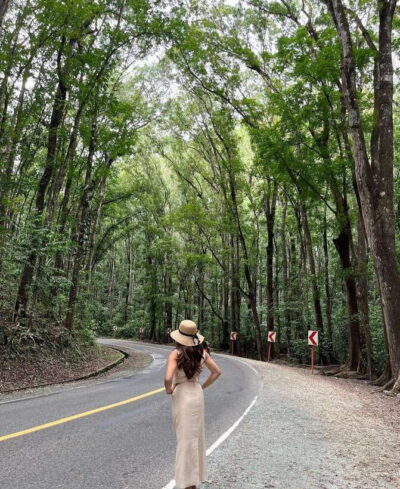 Bohol: Guided Chocolate Hills & Tarsiers Tour