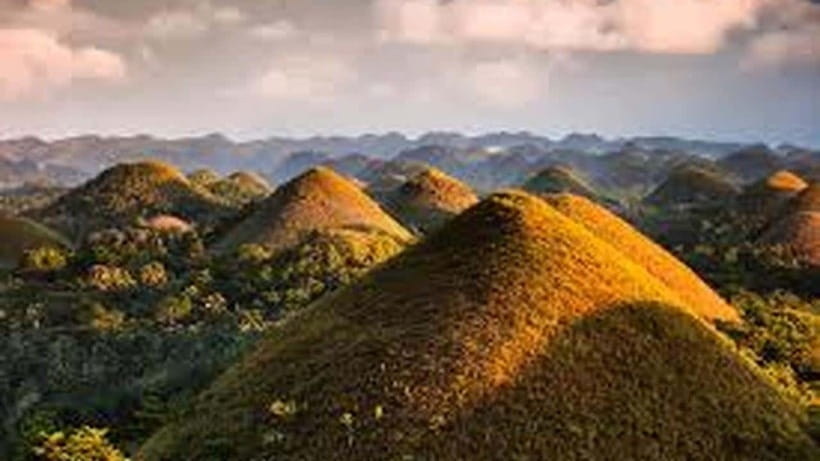 Bohol: Guided Chocolate Hills & Tarsiers Tour - What the $37 price really means