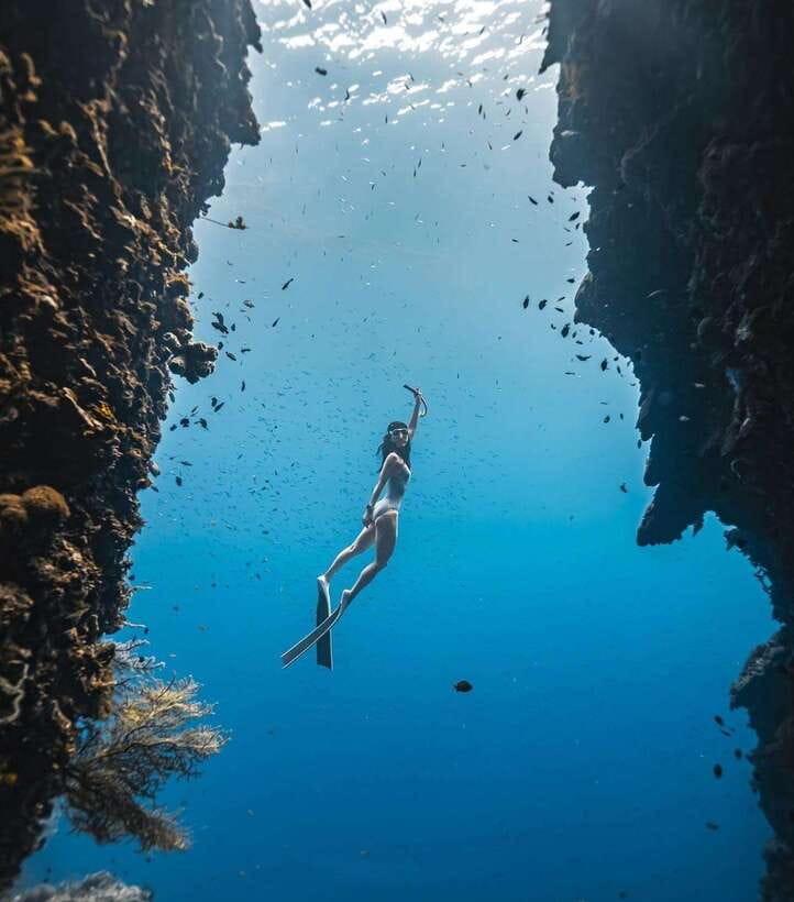 Bohol: Guided Sardine Reef Snorkeling Experience - Key points before you book