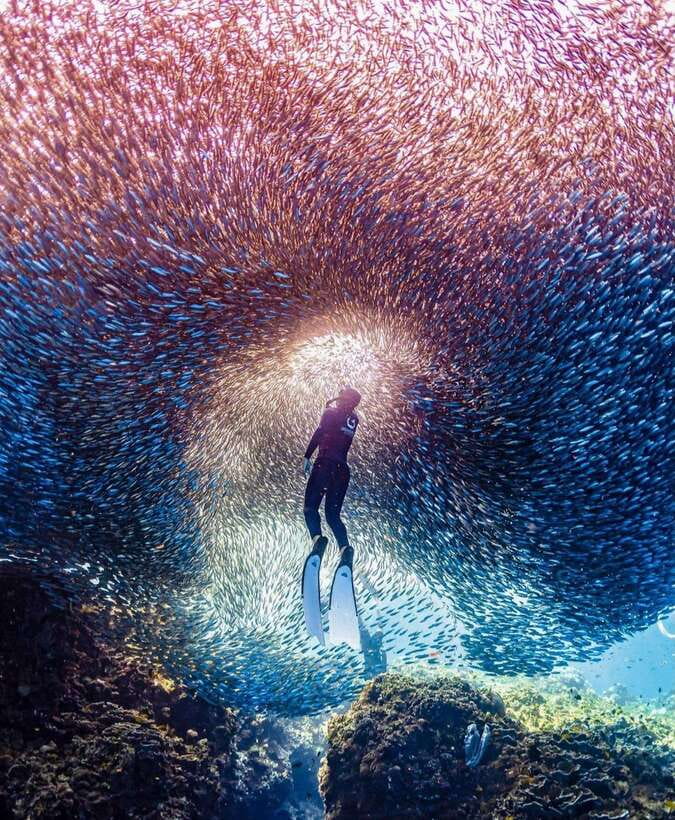 Bohol: Guided Sardine Reef Snorkeling Experience - The safety briefing and equipment check