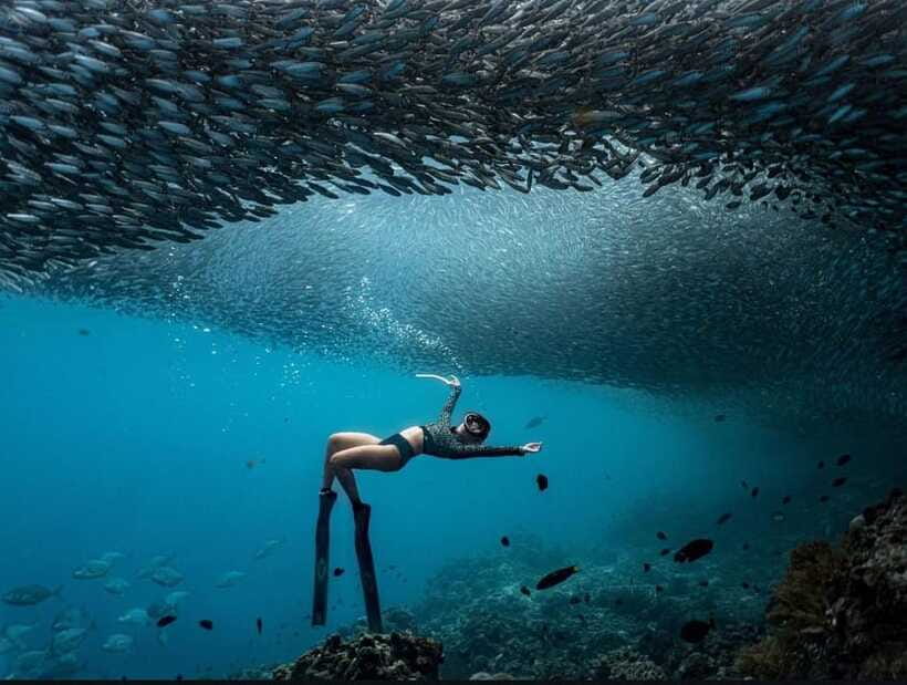 Bohol: Guided Sardine Reef Snorkeling Experience - Entering the water with a certified freediving guide