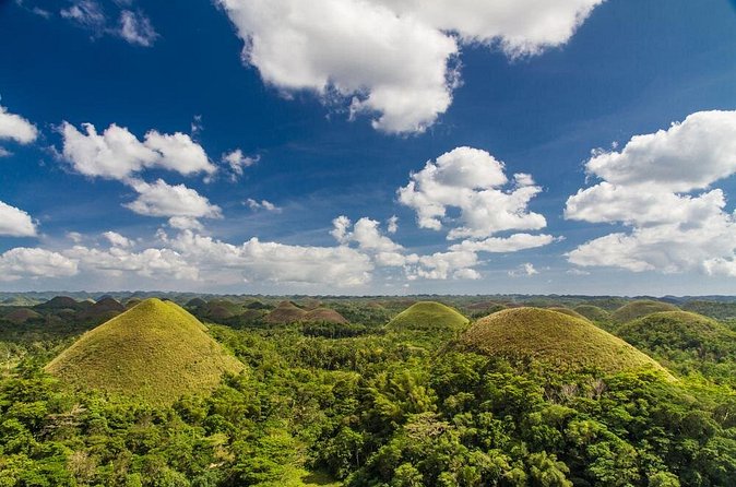 Bohol Highlights Tour: Chocolate Hills, Tarsier Spotting and Loboc River Cruise - Looking for Bohol’s tiny tarsiers