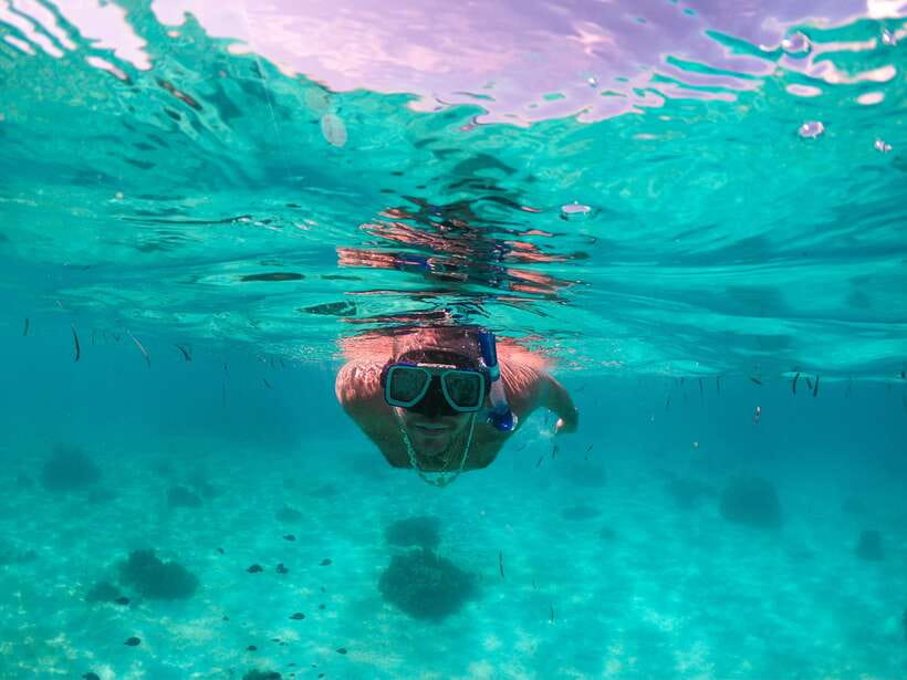 Bohol: Pamilacan Island Dolphin/Turtle Watching Tour & Lunch - Why Pamilacan makes a good day away from Panglao