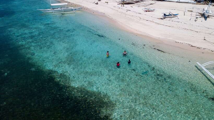 Bohol: Pamilacan Island Dolphin/Turtle Watching Tour & Lunch - Who should book this Pamilacan day trip