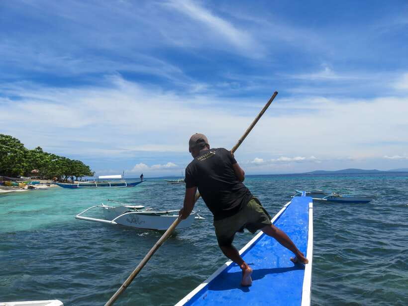 Bohol: Pamilacan Island Dolphin/Turtle Watching Tour & Lunch - Turtle snorkeling and the coral garden