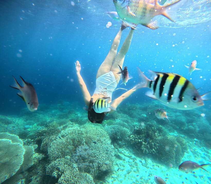 Bohol: Panglao Island Hopping Tour with Snorkeling (Private) - Balicasag Island and the main snorkeling stop