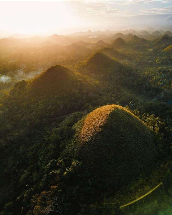 Bohol: Premium Chocolate Hills, Tarsiers & River Experience - Loboc River: scenic cruise with a separate bill