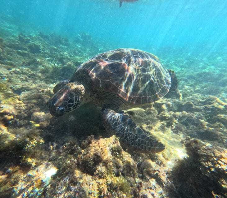Bohol PREMIUM PAMILACAN Island Tour - How the seven hours feel