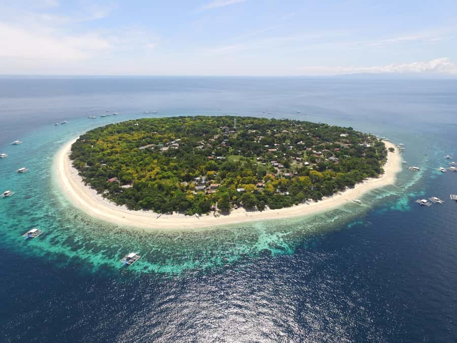 Bohol: Private Balicasag Tour with extra snorkeling time - Key points to know before booking