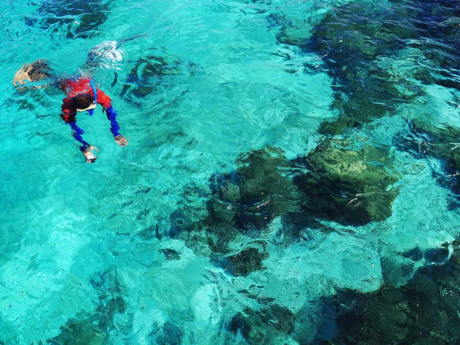 Bohol: Private Balicasag Tour with extra snorkeling time - Weather, tides, and realistic expectations