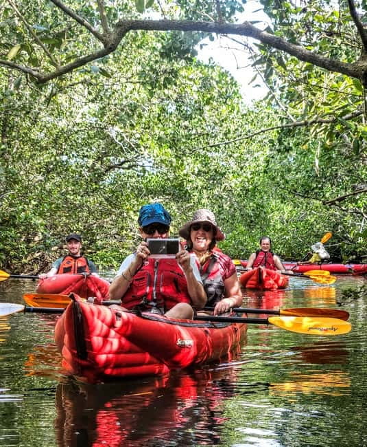 Bohol: SUSTAINABLE Mangrove Tunnels & Firefly Kayaking trail - Why the Abatan River is worth your evening
