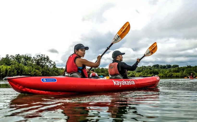 Bohol: SUSTAINABLE Mangrove Tunnels & Firefly Kayaking trail - Pickup from Panglao, Tagbilaran, or Loboc