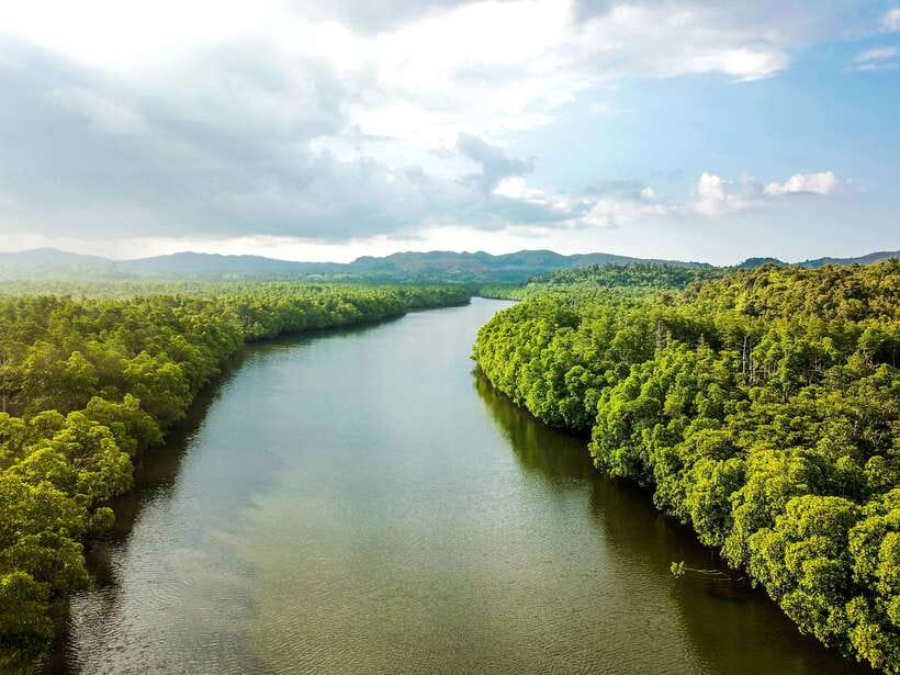 Bohol Tour Package: 3-Day Paradise Adventure - Tarsiers at the conservation area
