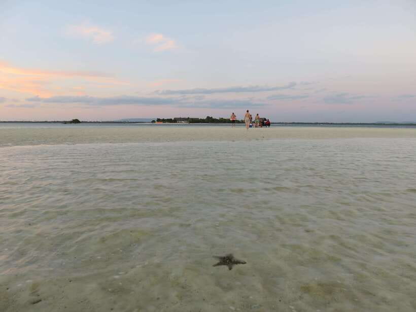 Bohol Virgin Island Sunset Tour - The 35-minute snorkeling stop