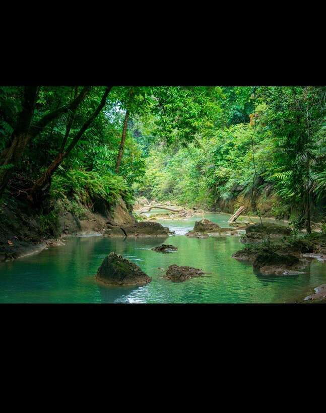 Bohol: Waterfall Hopping & Secret Jungle Trails Guided Tour - Cliff jumps, slippery rocks, and sensible limits