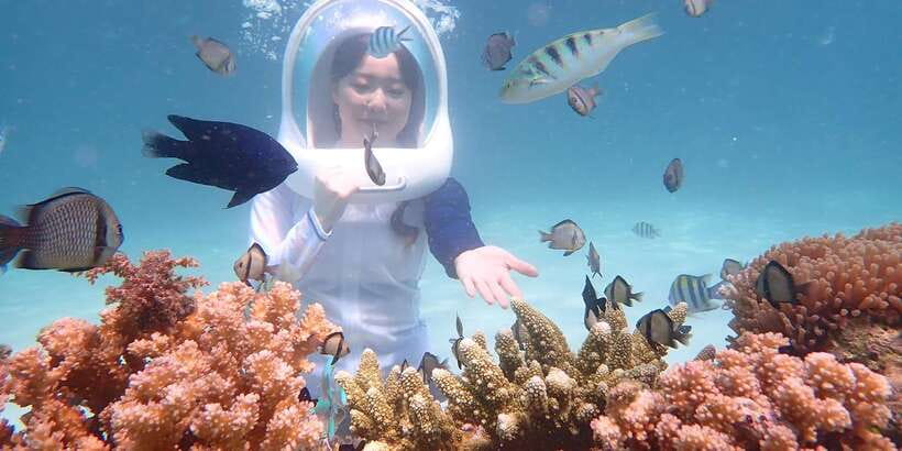 Boracay: Helmet Diving Experience with Photos and Videos - A gentle way to see Boracay below the surface
