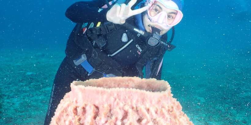 Boracay: Introduction to Scuba Diving Experience - Photos and videos add real value