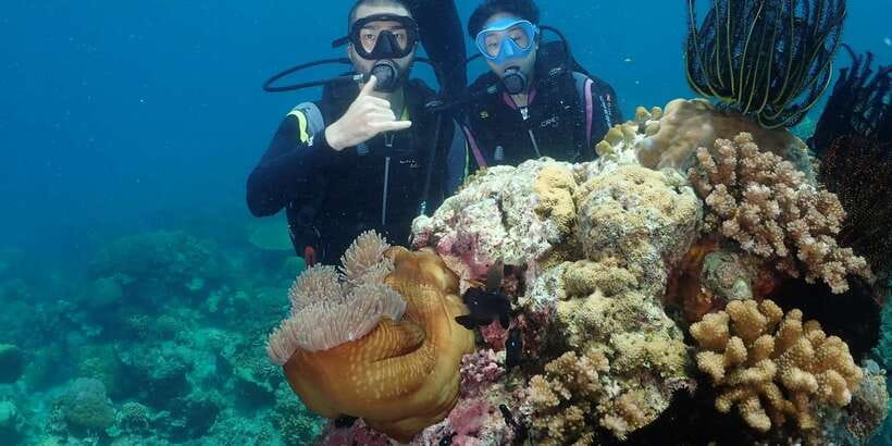 Boracay: Introduction to Scuba Diving Experience - FAQ