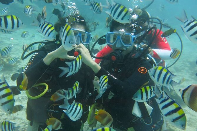 Boracay PADI Discover Scuba Diving - From Station 1 to your first breaths underwater