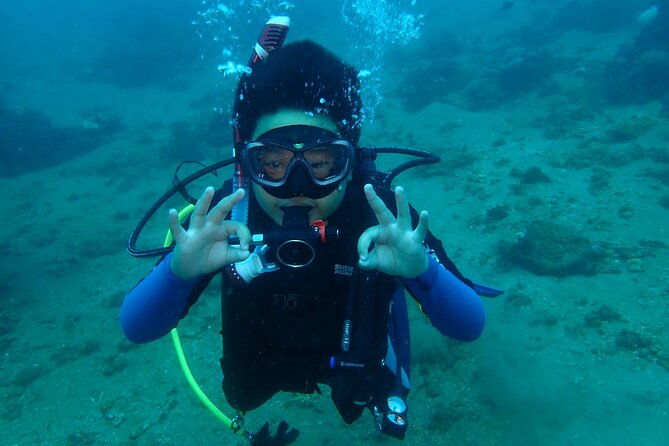 Boracay PADI Discover Scuba Diving - Underwater pictures and video included in the price