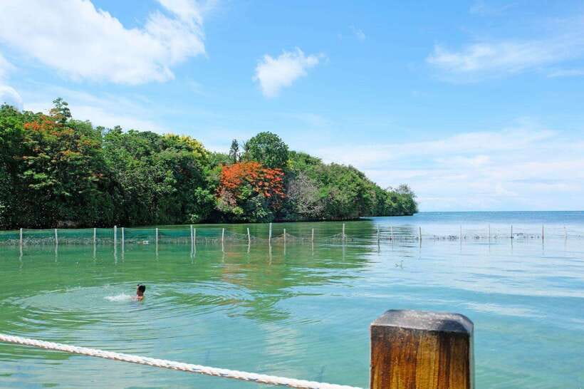 Boracay Private Land Tour - Who Will Enjoy This Island Sampler?