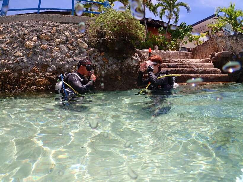 Cebu: Beach Scuba Diving Experience - Key Points