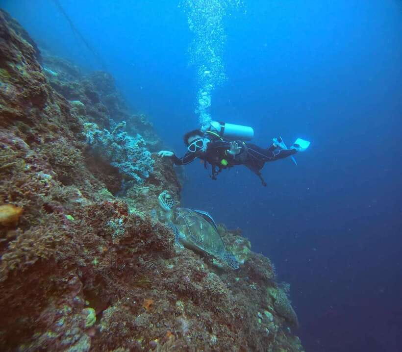 Cebu: Beach Scuba Diving Experience - Who Should Book This Experience?