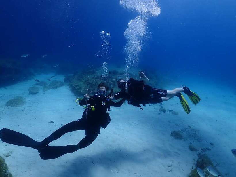 Cebu: Boat Diving Two Dive Tour in Olango Island - Is $92 a fair price?