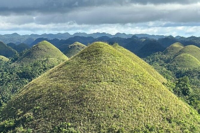 Cebu-Bohol Day Tour + Ferry Tickets - Why this Cebu to Bohol day trip works