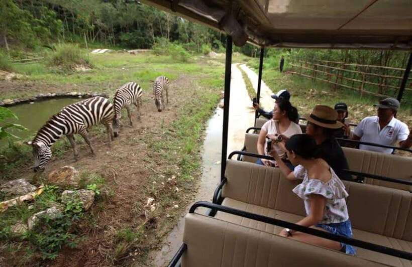 Cebu:Cebu Safari Adventure Park Day Trip - Who will enjoy this Cebu day trip?