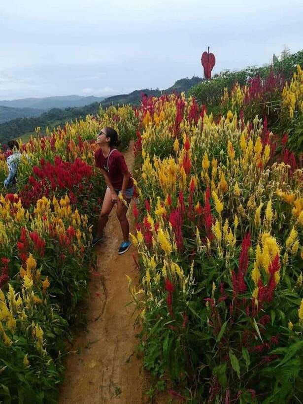 Cebu: City and Highlands Discovery Full-Day Tour with Lunch - Yap-San Diego House shows Cebu at household scale