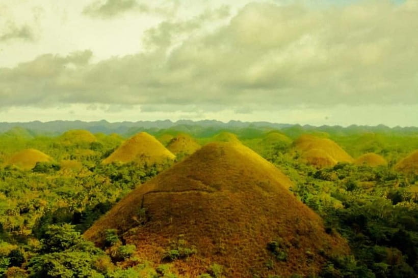 Cebu City: Bohol Countryside Tour with River Cruise Lunch - Butterfly garden: colorful, but not essential for everyone