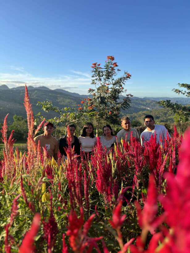 Cebu: City Highlights with Sirao Flower Garden Visit - The best reasons to book this Cebu day tour