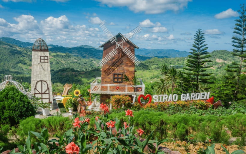 Cebu: City Sightseeing Group Tour - Sirao Garden brings color to the morning