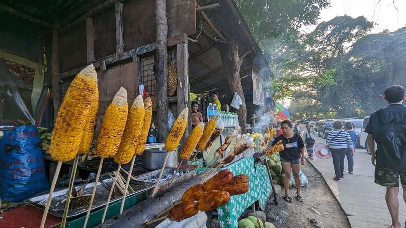 Cebu City with Sirao Garden Half Day Tour - Who should book this Cebu half-day tour
