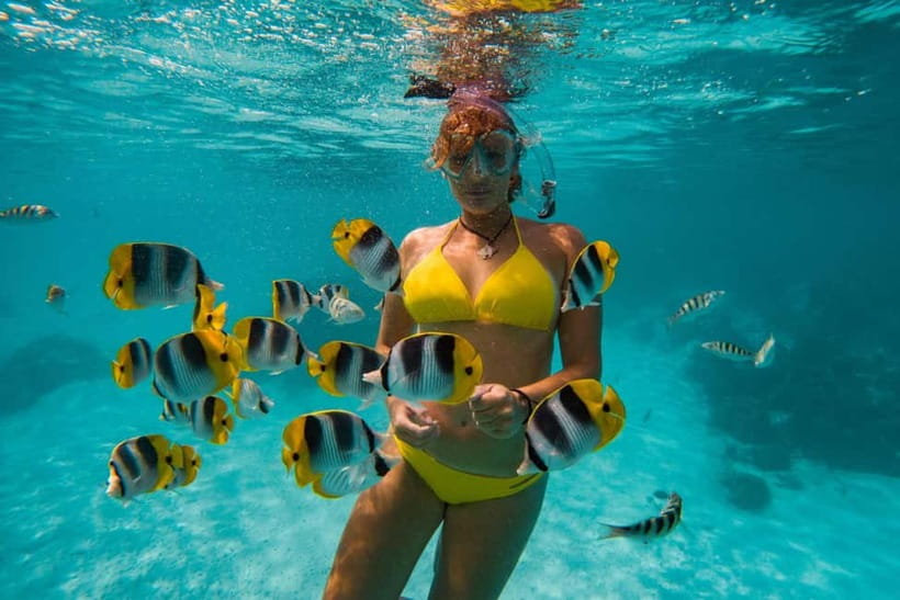 Cebu: Island Hopping 3 Islands + San Vicente Fish + Lunch - San Vicente Fish Sanctuary: the right first snorkel