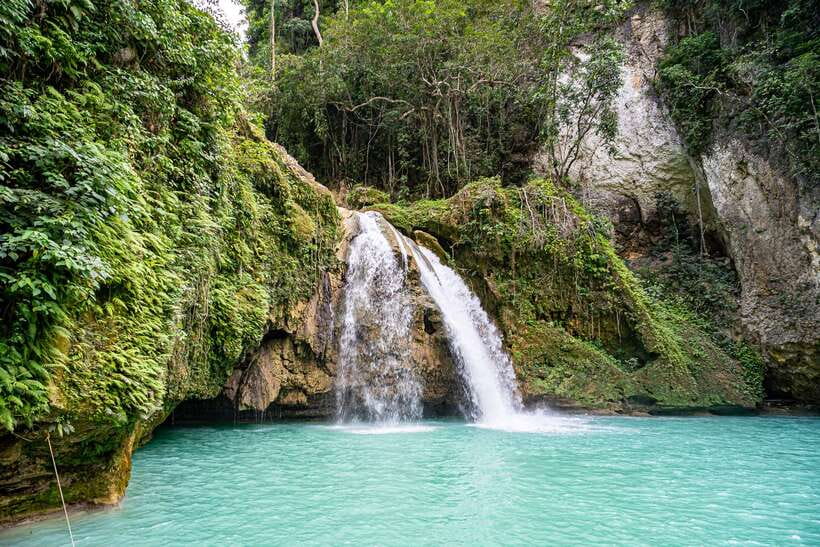 Cebu: Kawasan Canyoning, Moalboal Snorkeling, & Turtles Tour - Moalboal turtles and the sardine run