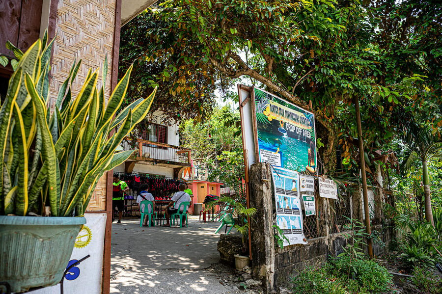 Cebu: Kawasan Canyoning, Moalboal Snorkeling, & Turtles Tour - Guides, group size, and the human side