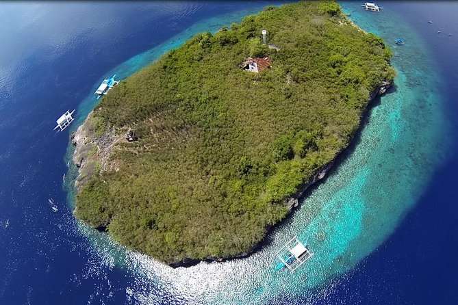 Cebu Moalboal Beach, Sardine Run, Sea Turtle Viewing + Canyoneering Tour - Why Moalboal is worth the early start
