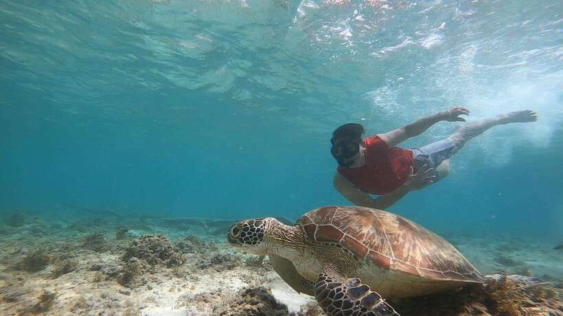 Cebu: Moalboal Island Hopping and Mantayupan Falls Day Trip - Communication and comfort need attention