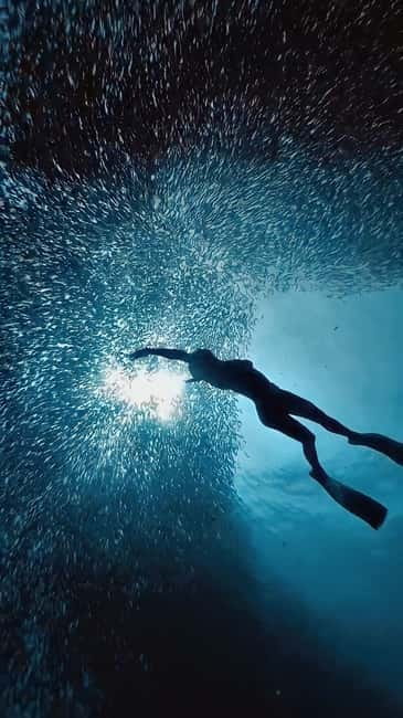 Cebu: Moalboal Sardine Run & Kawasan Falls Canyoneering - The early road south from Cebu