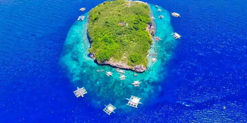 Cebu: Moalboal Sardines and Turtles Snorkeling Tour - Lunch, shore time, and the pace of the day