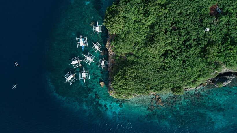 Cebu: Moalboal Sardines and Turtles Snorkeling Tour - Who will enjoy this Cebu day trip