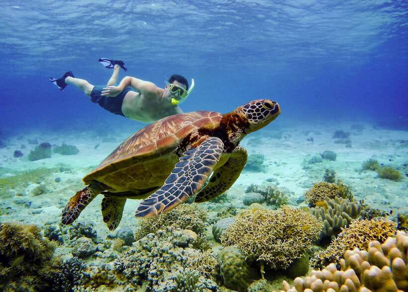 Cebu: Moalboal Sardines and Turtles Snorkeling Tour - The early pickup and the Cebu to Moalboal road
