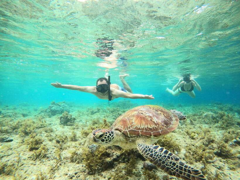 Cebu: Moalboal Sardines Run Snorkel & Kawasan Canyoneering - Key points to know before booking