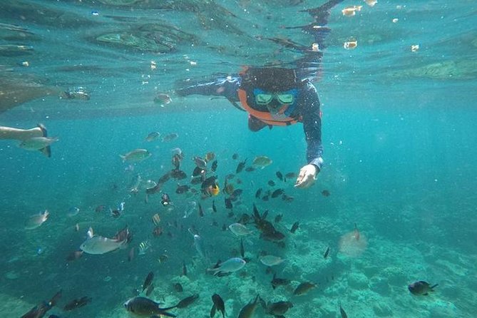 Cebu: Moalboal Sardines, Turtle Snorkeling & Kawasan Canyoneering - The 4:30 am start and ride south