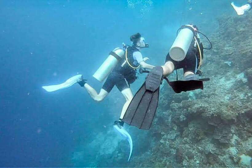 Cebu: Moalboal Scuba Diving, Sardines Run & Pescador Snorkel - What the private format changes